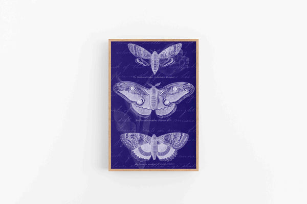 Blue Butterfly Bookplate Blueprint - Digital Download