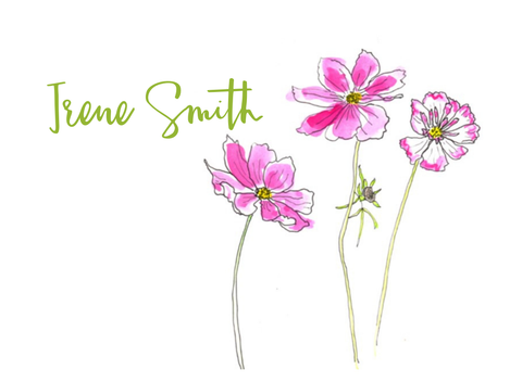 Pink Cosmos enclosure cards