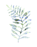 Tendril