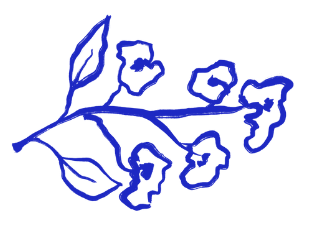 Modern Blue Branch stationery