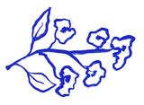 Modern Blue Branch stationery