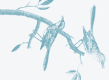 Flycatchers stationery