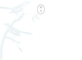 Flycatchers stationery