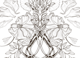 Botanical Line Art stationery