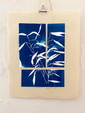Bamboo Leaves cyanotype print (collage)