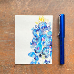 Bluebonnets 6 pack