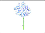 Blue Hydrangea stationery