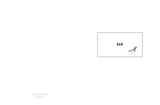 Adams Fly stationery