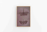 Entomology Time