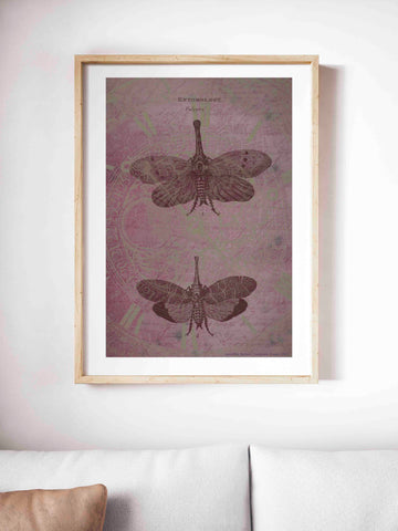 Entomology Time - Digital Download