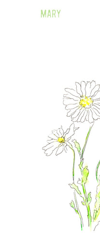 Shasta Daisy stationery