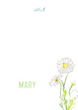 Shasta Daisy stationery