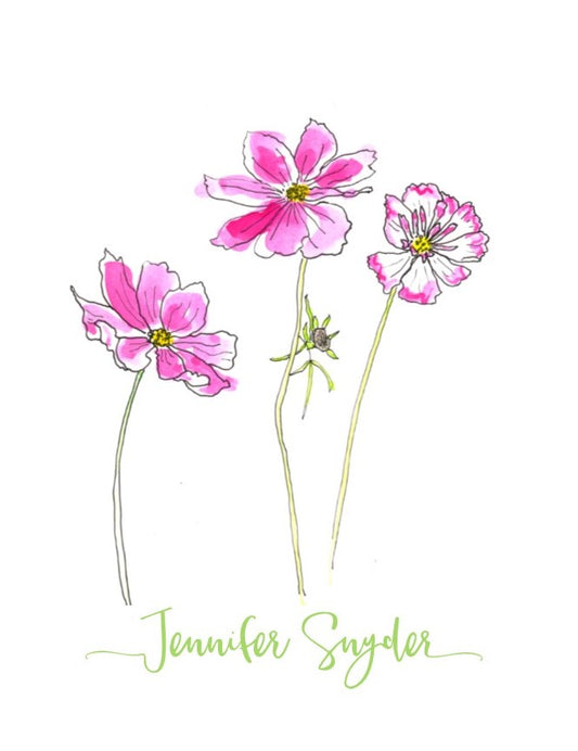 Pink Cosmos folded card