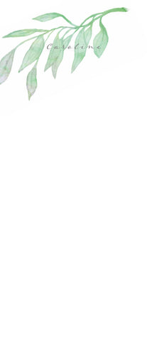 Green Branch stationery